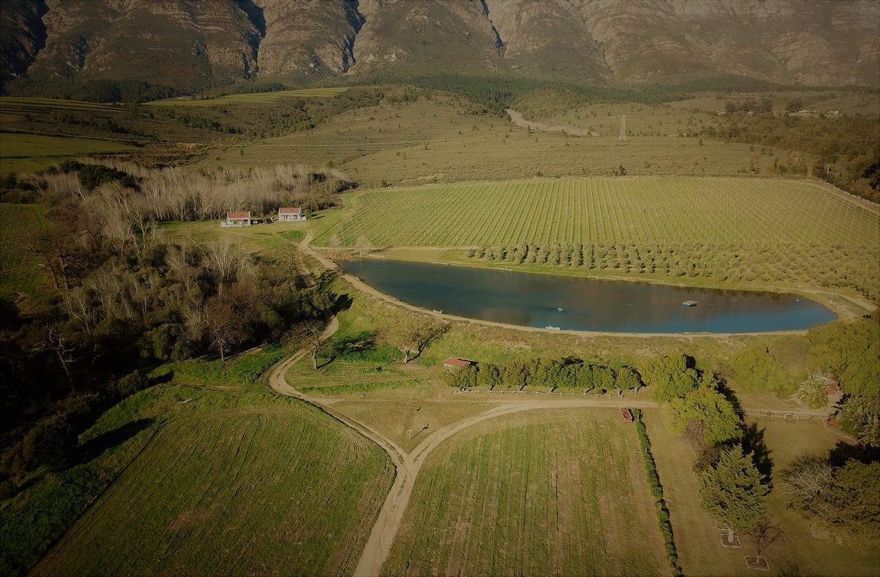 Fraaigelegen Farm - Home Of Adhara Evoo 툴바흐 외부 사진